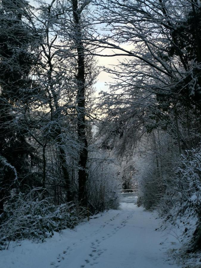 Appartamento Kaban' Des Neiges Saint-Gervais-les-Bains Esterno foto