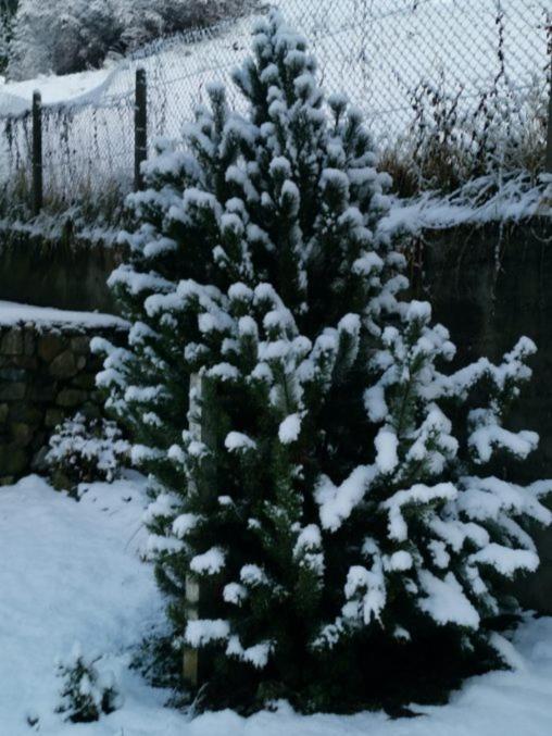 Appartamento Kaban' Des Neiges Saint-Gervais-les-Bains Esterno foto